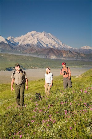 simsearch:854-03539426,k - National Park Interpretive Ranger takes a young couple on a *Discovery Hike* near Eielson visitor center Denali National Park Alaska Foto de stock - Direito Controlado, Número: 854-03538158