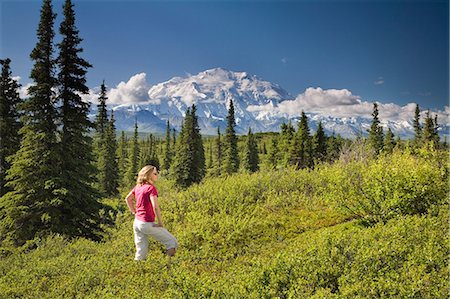 simsearch:854-03538100,k - Un touriste de jeune femme vues MtMcKinley et la chaîne de l'Alaska en été Parc National Denali en Alaska Photographie de stock - Rights-Managed, Code: 854-03538173
