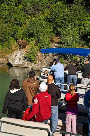 Guests of Redoubt Bay Lodge view Grizzly bears from pontoon boat in Wolverine Cove on Big River Lakes in   Redoubt Bay State Critical Habitat Area, Southcentral, Alaska Stock Photo - Rights-Managed, Code: 854-03538538