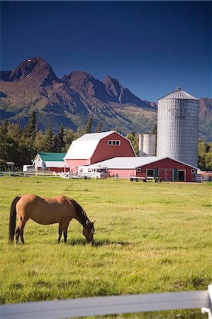 pionero - Horse grazing in pasture w/old Colony barn & farm below Chugach Mountains Mat-Su Valley Alaska Summer Foto de stock - Con derechos protegidos, Código: 854-03538532