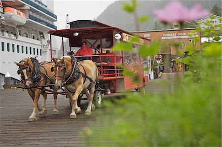 Seahorse Ventures horse drawn trolly travels along the cruiseship docks at Ketchikan, Alaska Foto de stock - Con derechos protegidos, Código: 854-03538627