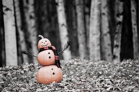 person falling in a pile of leaves - Jack-O-Lantern man wearing a red plaid scarf in a birch forest with fern fronds for arms and standing on fallen leaves on the ground during Fall in Anchorage, Alaska. Stock Photo - Rights-Managed, Code: 854-03538674