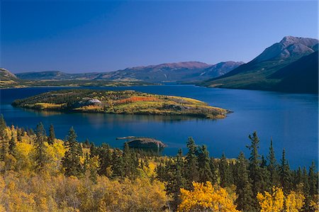 Bove Island and Tagish Lake in the fall Yukon Canada Stock Photo - Rights-Managed, Code: 854-03538739