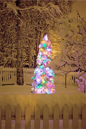 simsearch:854-03537981,k - White picket fence and snow covered Christmas tree lit up at twilight in the front yard of a residential home Stock Photo - Rights-Managed, Code: 854-03539042