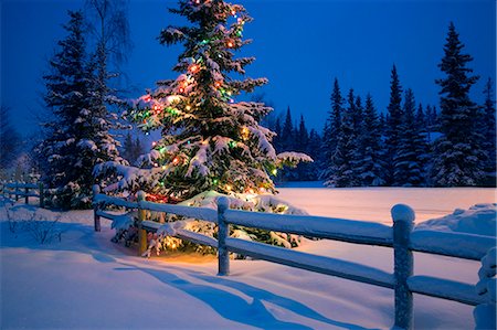 deep woods - Decorated Christmas tree along snow covered fence rail @ night Anchorage Southcentral Alaska Winter Stock Photo - Rights-Managed, Code: 854-03539043