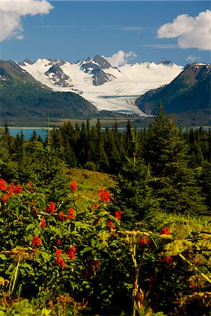 Été scenic Grewingk Glacier et les montagnes de Kenai de Kachemak Bay State Park dans le centre-sud de l'Alaska Photographie de stock - Rights-Managed, Code: 854-03539146