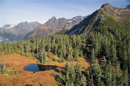 simsearch:854-03538090,k - Tarn sits amidst trees and mountains Tongass National Forest Inside Passage southeast Alaska Autumn Foto de stock - Con derechos protegidos, Código: 854-03539194