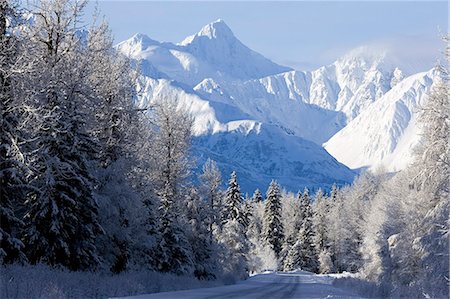 simsearch:854-03538090,k - Takhinsha Mountains northwest of Haines Southeast Alaska Winter Tongass National Forest Foto de stock - Con derechos protegidos, Código: 854-03539200