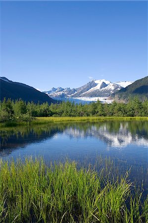 simsearch:854-03538675,k - View of Mendenhall Glacier with pond and green grass in foreground Juneau Southeast Alaska Summer Foto de stock - Direito Controlado, Número: 854-03539228