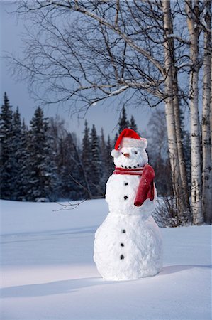 funny freezing cold photos - Snowman in snowy meadow w/birch & spruce forest in background Alaska Winter Stock Photo - Rights-Managed, Code: 854-03539287
