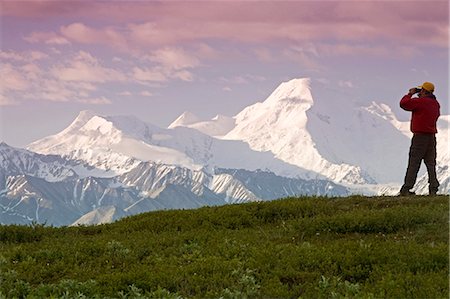 simsearch:854-03538675,k - Male tourist views Mt.Mckinley & Alaska Range near Wonder Lake Denali National Park Alaska Summer Foto de stock - Direito Controlado, Número: 854-03539334