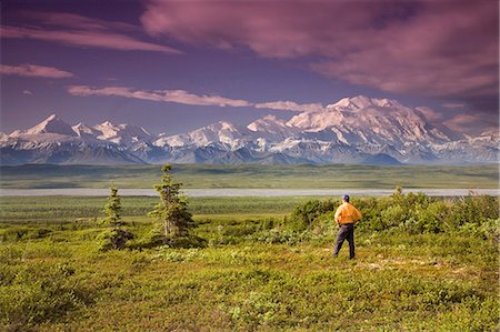 Male tourist views Mt.Mckinley & Alaska Range near Wonder Lake Denali National Park Alaska Summer Stock Photo - Rights-Managed, Code: 854-03539348