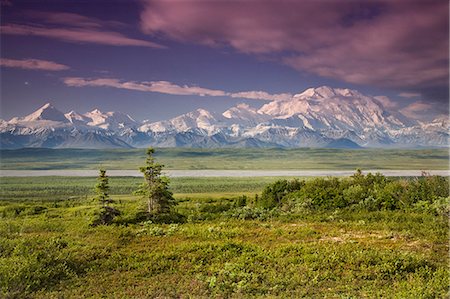 simsearch:854-03539455,k - Mâle touristique Mt.Mckinley & chaîne de l'Alaska près de Wonder Lake Denali National Park en Alaska été vue (s) Photographie de stock - Rights-Managed, Code: 854-03539349