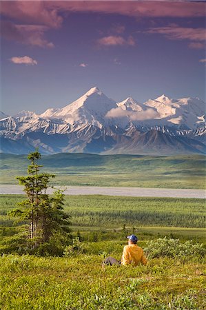 simsearch:854-03539426,k - Male tourist views Mt.Silverthrone & Alaska Range near Wonder Lake Denali National Park Summer Foto de stock - Direito Controlado, Número: 854-03539340
