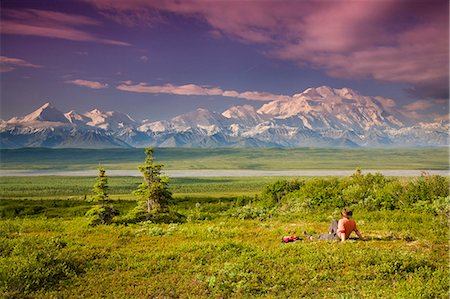 simsearch:854-03538675,k - Male tourist views Mt.Mckinley & Alaska Range near Wonder Lake Denali National Park Alaska Summer Foto de stock - Direito Controlado, Número: 854-03539355