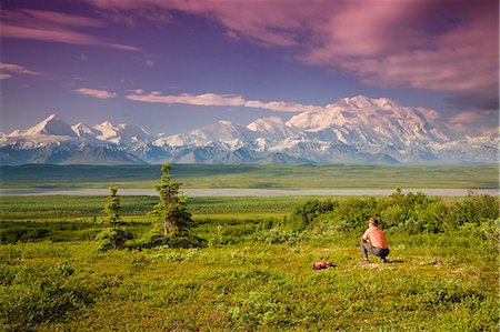 simsearch:400-08806975,k - Male tourist views Mt.Mckinley & Alaska Range near Wonder Lake Denali National Park Alaska Summer Foto de stock - Con derechos protegidos, Código: 854-03539356
