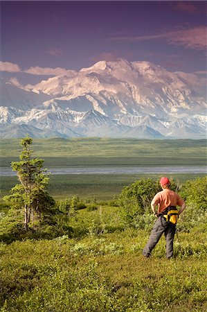 Male tourist views Mt.Mckinley & Alaska Range near Wonder Lake Denali National Park Alaska Summer Stock Photo - Rights-Managed, Code: 854-03539358
