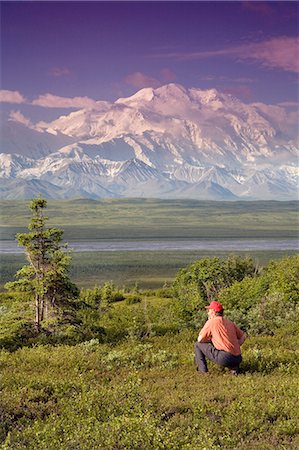 simsearch:400-08806975,k - Male tourist views Mt.Mckinley & Alaska Range near Wonder Lake Denali National Park Alaska Summer Foto de stock - Con derechos protegidos, Código: 854-03539359