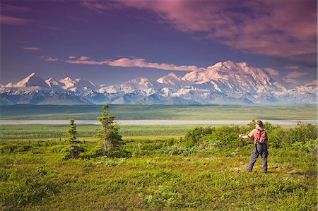 simsearch:400-08806975,k - Male tourist views Mt.Mckinley & Alaska Range near Wonder Lake Denali National Park Alaska Summer Foto de stock - Con derechos protegidos, Código: 854-03539350