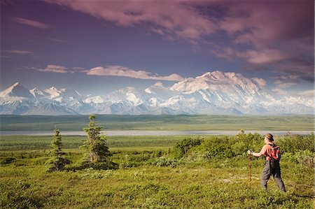 simsearch:854-03538675,k - Male tourist views Mt.Mckinley & Alaska Range near Wonder Lake Denali National Park Alaska Summer Foto de stock - Direito Controlado, Número: 854-03539351