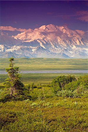 simsearch:854-03539426,k - Male tourist views Mt.Mckinley & Alaska Range near Wonder Lake Denali National Park Alaska Summer Foto de stock - Direito Controlado, Número: 854-03539366