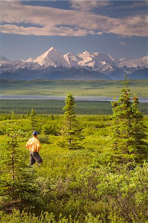 Male tourist views Mt.Silverthrone & Alaska Range near Wonder Lake Denali National Park Alaska Summer Stock Photo - Rights-Managed, Code: 854-03539367