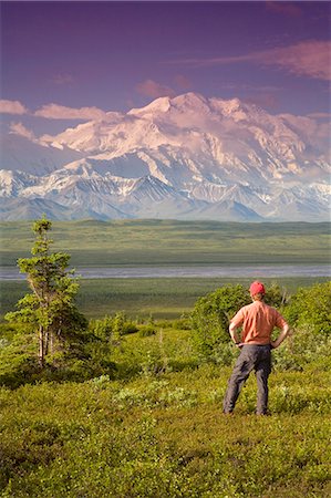 Male tourist views Mt.Mckinley & Alaska Range near Wonder Lake Denali National Park Alaska Summer Stock Photo - Rights-Managed, Code: 854-03539360