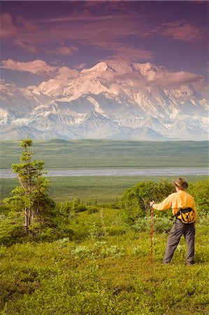 simsearch:400-08806975,k - Male tourist views Mt.Mckinley & Alaska Range near Wonder Lake Denali National Park Alaska Summer Foto de stock - Con derechos protegidos, Código: 854-03539363