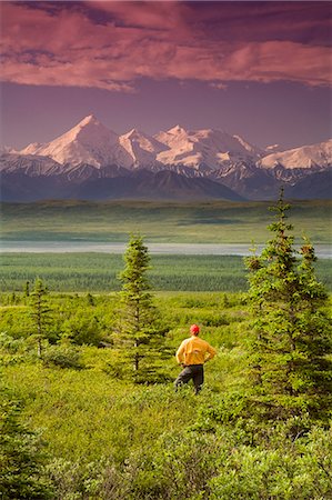 simsearch:854-03539426,k - Male tourist views Mt.Silverthrone & Alaska Range near Wonder Lake Denali National Park Alaska Summer Foto de stock - Direito Controlado, Número: 854-03539371