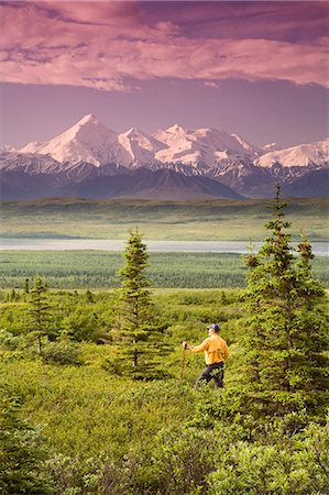 simsearch:854-03539455,k - Mâle touristique Mt.Silverthrone & chaîne de l'Alaska près de Wonder Lake Denali National Park en Alaska été vue (s) Photographie de stock - Rights-Managed, Code: 854-03539372