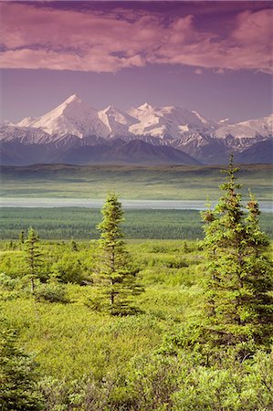 simsearch:854-03538675,k - Male tourist views Mt.Silverthrone & Alaska Range near Wonder Lake Denali National Park Alaska Summer Foto de stock - Direito Controlado, Número: 854-03539373