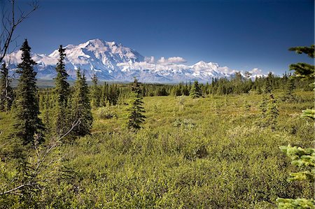 simsearch:854-03539455,k - Mt McKinley et la chaîne de l'Alaska, vu de l'intérieur du Parc National Denali en Alaska l'été Photographie de stock - Rights-Managed, Code: 854-03539440