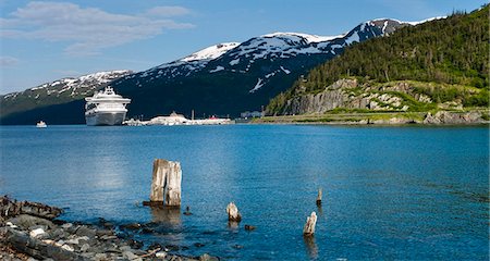 simsearch:854-03646802,k - Hafen von Whittier mit einem Kreuzfahrtschiff im Sommer, South Central Alaska angedockt Stockbilder - Lizenzpflichtiges, Bildnummer: 854-03646409