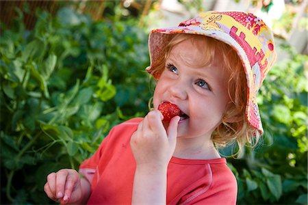 Vue de fille de bébé manger local fraises fraîches du jardin, de Anchorage, Alaska Centre-Sud, l'été Photographie de stock - Rights-Managed, Code: 854-03646455