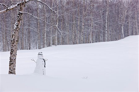 simsearch:854-03845099,k - Snowman wearing a scarf and black top hat standing in a snow covered birch forest, Russian Jack Springs Park, Anchorage, Southcentral Alaska, Winter Foto de stock - Con derechos protegidos, Código: 854-03646520