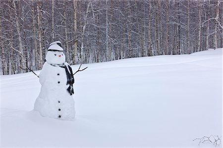 Schneemann tragen ein Tuch und schwarze Zylinder stehend in einem Schnee bedeckt Birkenwald, Russisch Jack Springs Park, Anchorage, South Central Alaska, Winter Stockbilder - Lizenzpflichtiges, Bildnummer: 854-03646522