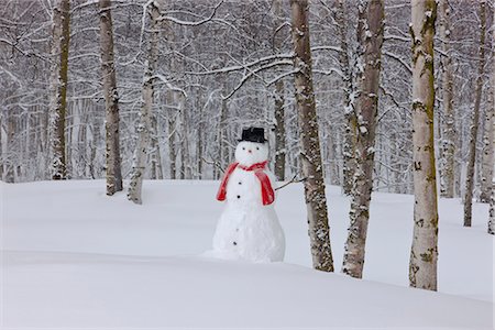 Snowman wearing a scarf and black top hat standing in a snow covered birch forest, Russian Jack Springs Park, Anchorage, Southcentral Alaska, Winter Foto de stock - Direito Controlado, Número: 854-03646536