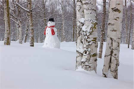 Snowman wearing a scarf and black top hat standing in a snow covered birch forest, Russian Jack Springs Park, Anchorage, Southcentral Alaska, Winter Foto de stock - Direito Controlado, Número: 854-03646537