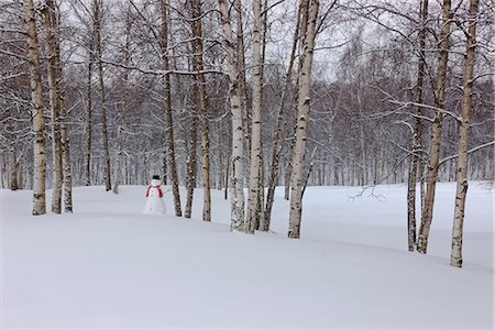 simsearch:854-03845099,k - Snowman wearing a scarf and black top hat standing in a snow covered birch forest, Russian Jack Springs Park, Anchorage, Southcentral Alaska, Winter Foto de stock - Con derechos protegidos, Código: 854-03646545