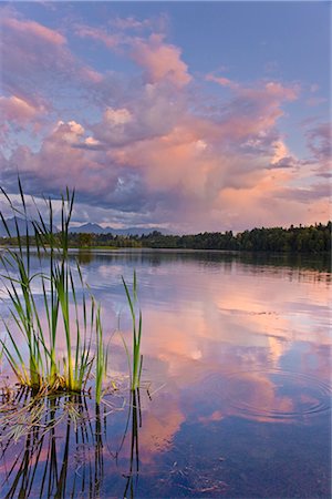 pantano - View of sunset clouds reflected in  Westchester Lagoon near downtown Anchorage, Southcentral Alaska, Summer Foto de stock - Con derechos protegidos, Código: 854-03646660