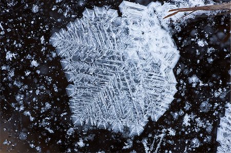 Close up of ice feather formations on Knob Lake near Sheep Mountain, Southcentral Alaska, Winter, Extended Depth of Field Foto de stock - Con derechos protegidos, Código: 854-03646796