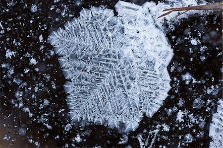 Close up of ice feather formations on Knob Lake near Sheep Mountain, Southcentral Alaska, Winter, Extended Depth of Field Stock Photo - Rights-Managed, Code: 854-03646796