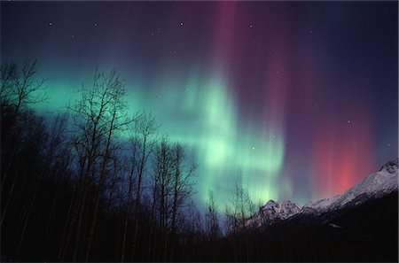 raya - Multi colored Northern Lights (Aurora borealis) fill the night sky off the Old Glen Highway near Palmer, Southcentral Alaska, Winter Foto de stock - Con derechos protegidos, Código: 854-03646791