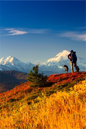 A male backpacker and his dog enjoy the view of Mt. McKinley while backpacking in Peters Hills, Denali State Park, Southcentral Alaska, Fall/n Foto de stock - Con derechos protegidos, Código: 854-03646867