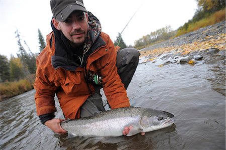 simsearch:854-03739795,k - Pêcheur à genoux dans l'eau pour mettre en valeur un sauvage truite arc-en-ciel capturés dans le centre-sud Deep Creek, la péninsule de Kenai, en Alaska, automne Photographie de stock - Rights-Managed, Code: 854-03739523