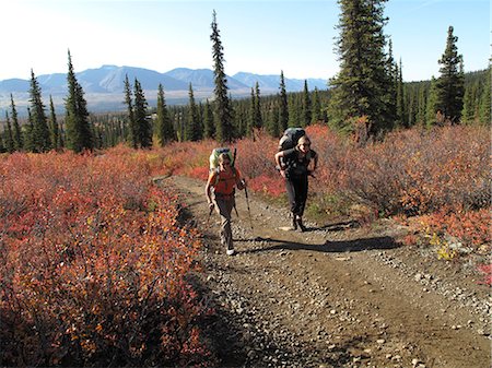 simsearch:862-03289011,k - Two women backpacking towards the headwaters of Sanctuary River in Denali National Park, Interior Alaska, Autumn Foto de stock - Con derechos protegidos, Código: 854-03739569