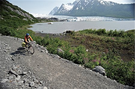 simsearch:854-03739611,k - Woman bicycling on the trail to Spencer Glacier, Chugach National Forest, Kenai Peninsula, Southcentral Alaska, Summer Fotografie stock - Rights-Managed, Codice: 854-03739614