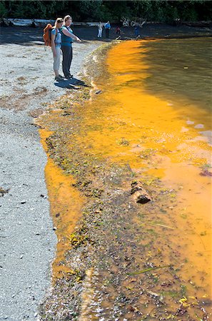 Deux femmes inspectent la marée rouge, causée par la prolifération d'algues rapide, dans les détroits de Tongass près de Ketchikan, Alaska du sud-est, l'été Photographie de stock - Rights-Managed, Code: 854-03739634