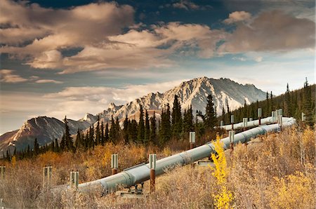 View of the Trans Alaska Pipeline winding its way away from the Dalton Highway into the Brooks Range north of Sukapak Mountain, Arctic Alaska, Fall, HDR Foto de stock - Con derechos protegidos, Código: 854-03739642