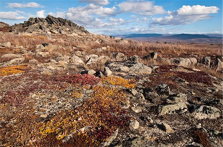 simsearch:854-03845147,k - Autumn colors of tundra on the rocky landscape at Finger Mountain along the Dalton Highway, Interior Alaska, Fall Foto de stock - Con derechos protegidos, Código: 854-03739672